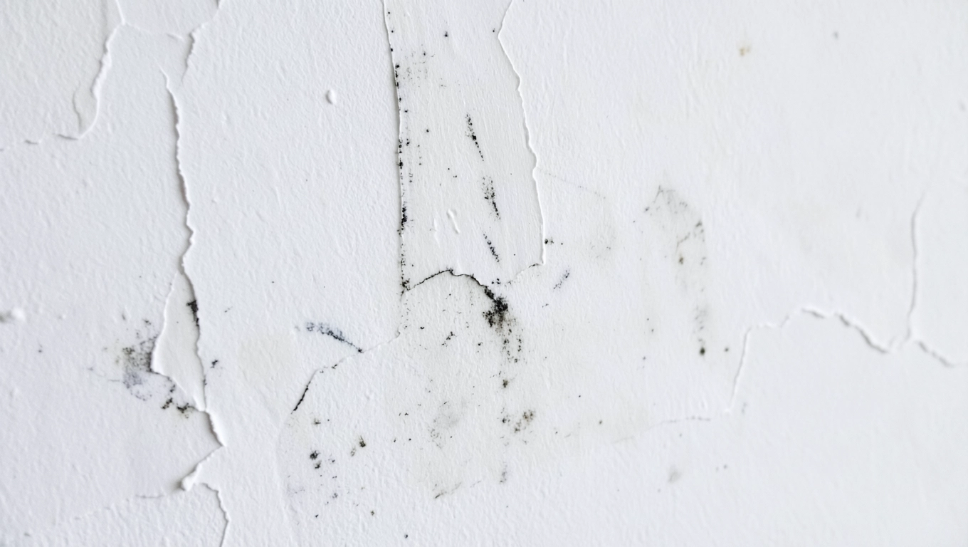 Dlaczego malowanie bez szpachlowania kończy się żalem