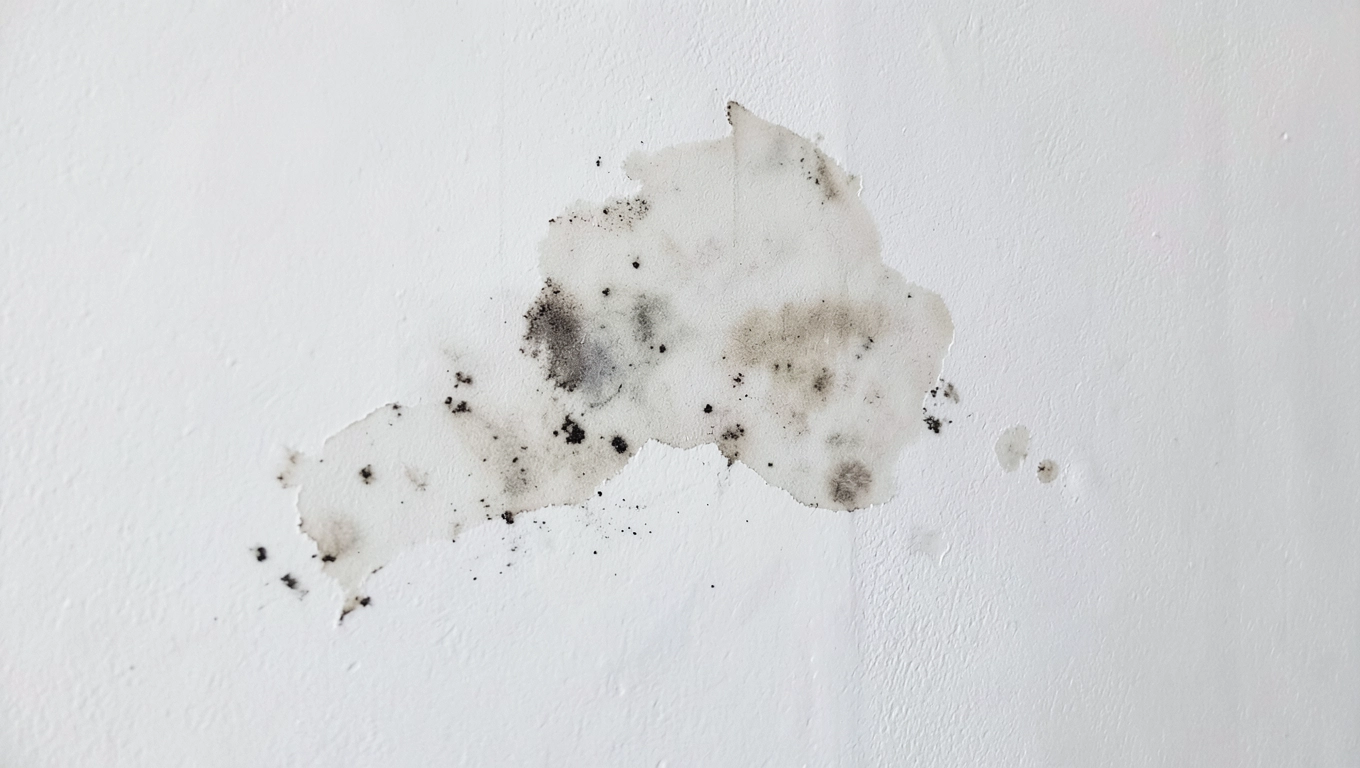 gruntowanie tynków gipsowych