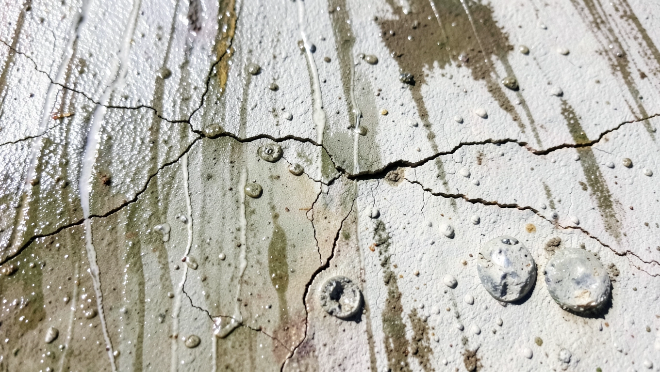 Odporność tynku BOLIX SIT na atmosferę