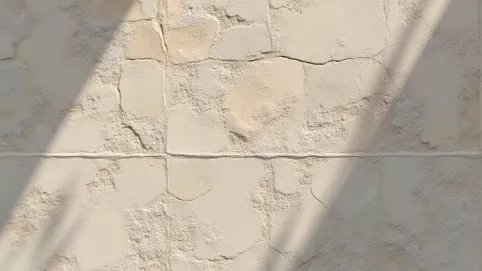 cena mozaiki tynkowej