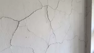 co po tynkach cementowo wapiennych