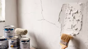 czym malować tynk cementowo wapienny