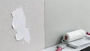 Czym malować tynk silikonowy