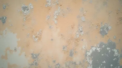 Czym pomalować tynk mozaikowy żywiczny