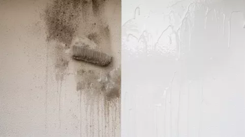 Czyszczenie tynku żywicznego