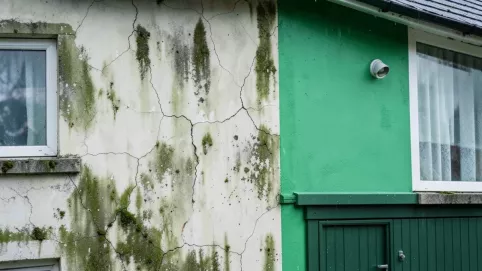 farba na tynk silikonowy