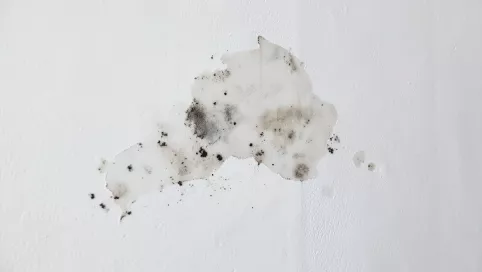 gruntowanie tynków gipsowych