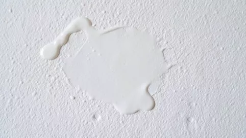 Ile schnie grunt pod tynk silikonowy