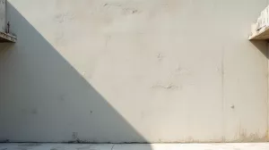 Ile schnie tynk silikonowy