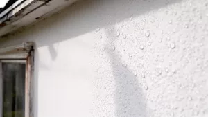 Tynk elewacyjny baranek