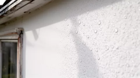 Tynk elewacyjny baranek