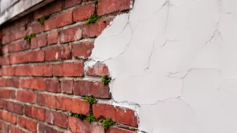 Tynk zewnętrzny na cegłę
