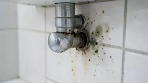 wylewka do baterii podtynkowej