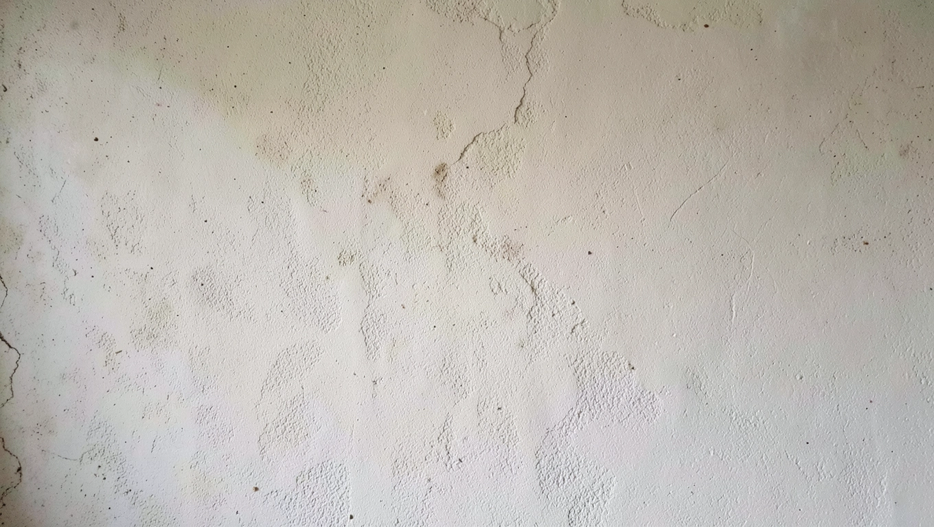 Wysezonowanie tynków cementowo-wapiennych przed malowaniem